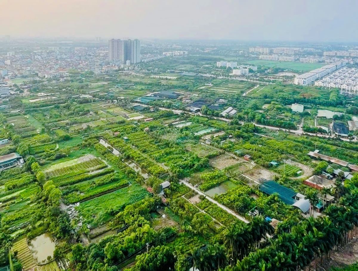 Việc ban hành các văn bản thi hành 3 luật nhằm tháo gỡ khó khăn cho thị trường bất động sản.