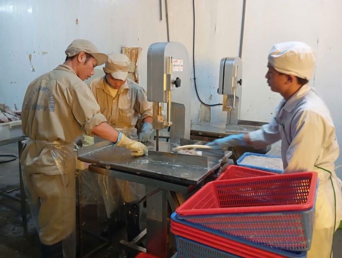 Bảo hiểm tiếp sức doanh nghiệp hồi sinh sau bão Bảo hiểm tiếp sức doanh nghiệp hồi sinh sau bão