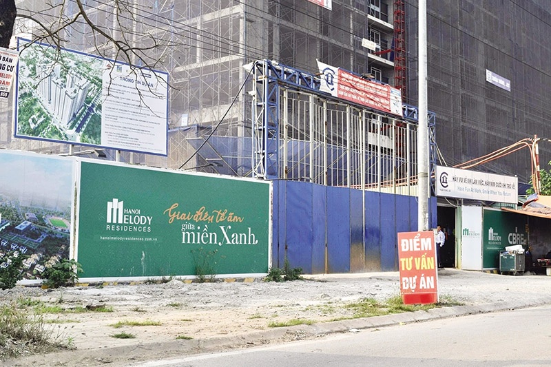 Tái khởi động các dự án