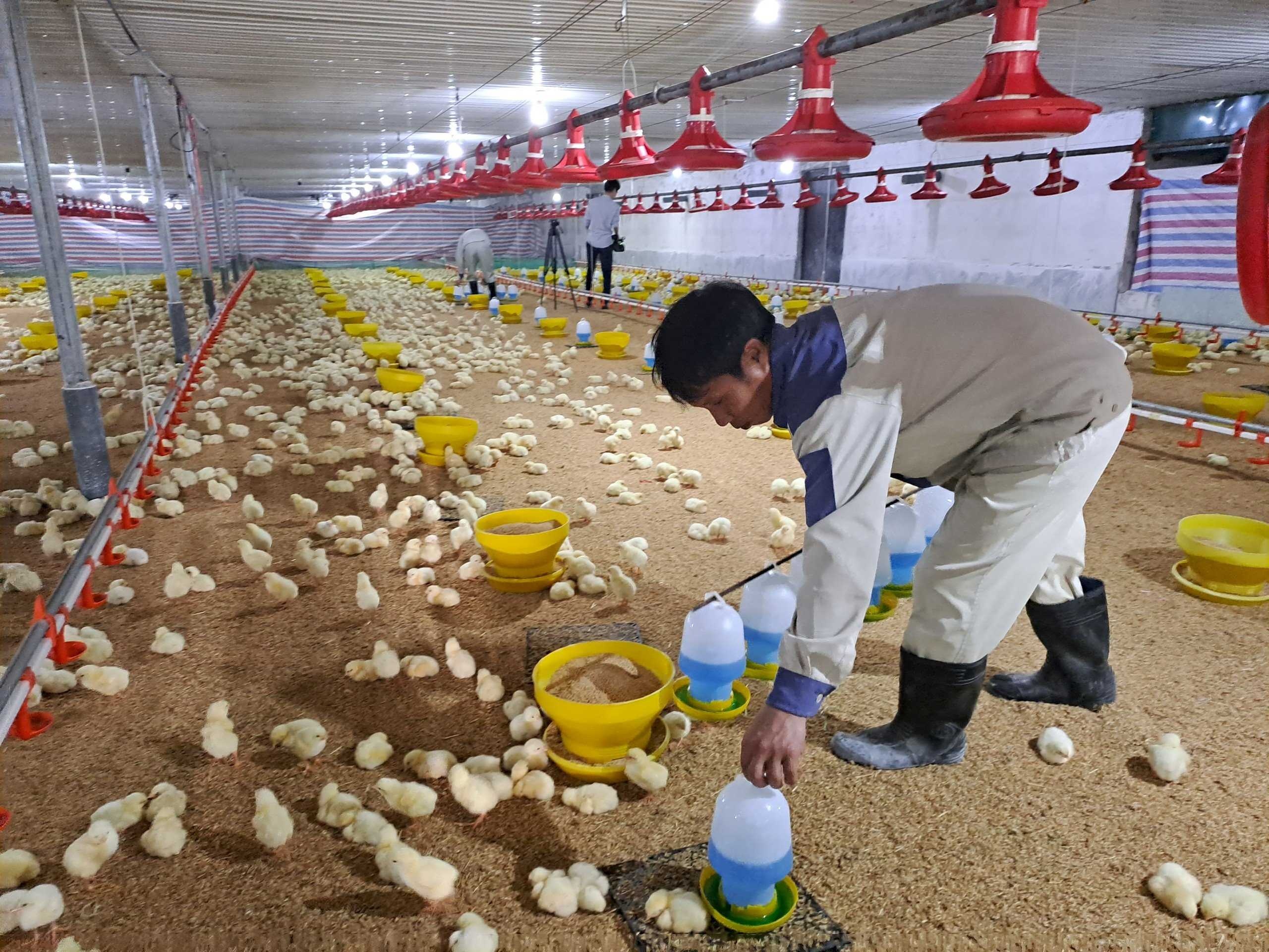 Cần nhanh chóng thâm nhập vào thị trường Halal. Cần nhanh chóng thâm nhập vào thị trường Halal.