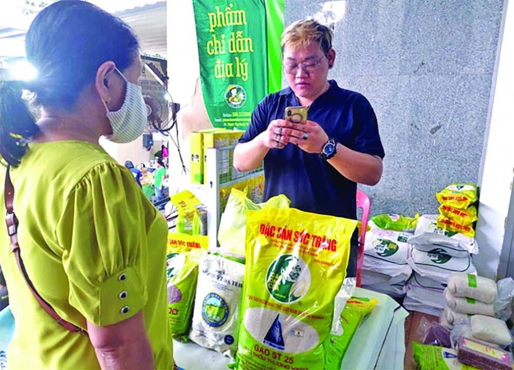 Hiện tại, cơ cấu gạo của Việt Nam gần 80% là giống gạo chất lượng cao, không trùng với phân khúc của Ấn Độ Hiện tại, cơ cấu gạo của Việt Nam gần 80% là giống gạo chất lượng cao, không trùng với phân khúc của Ấn Độ