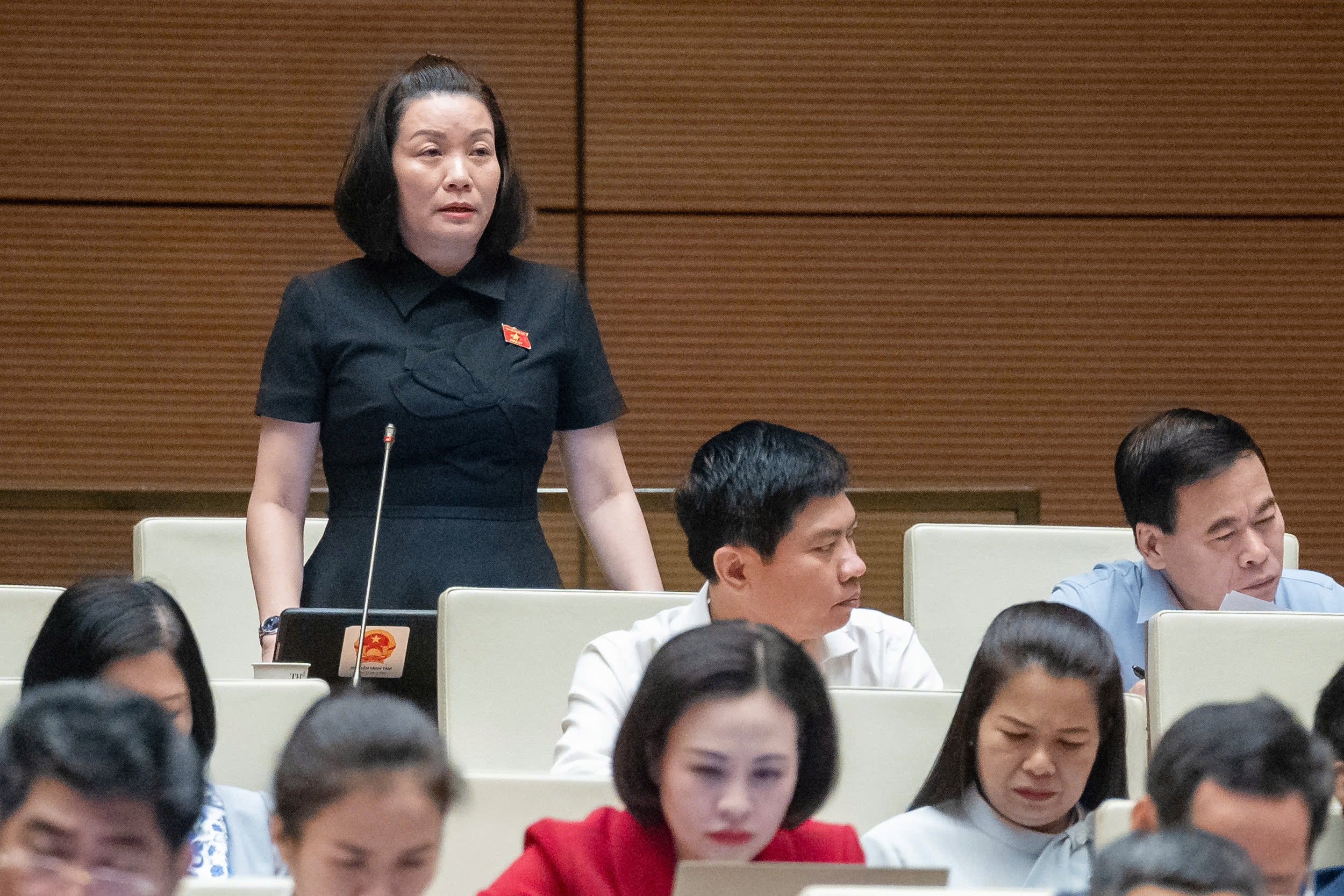 Đại biểu Nguyễn Minh Tâm