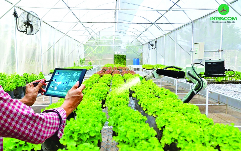 Các mô hình sản xuất ứng dụng công nghệ cao được ngân hàng cho vay vốn đầu tư, bước đầu mang lại hiệu quả kinh tế Các mô hình sản xuất ứng dụng công nghệ cao được ngân hàng cho vay vốn đầu tư, bước đầu mang lại hiệu quả kinh tế