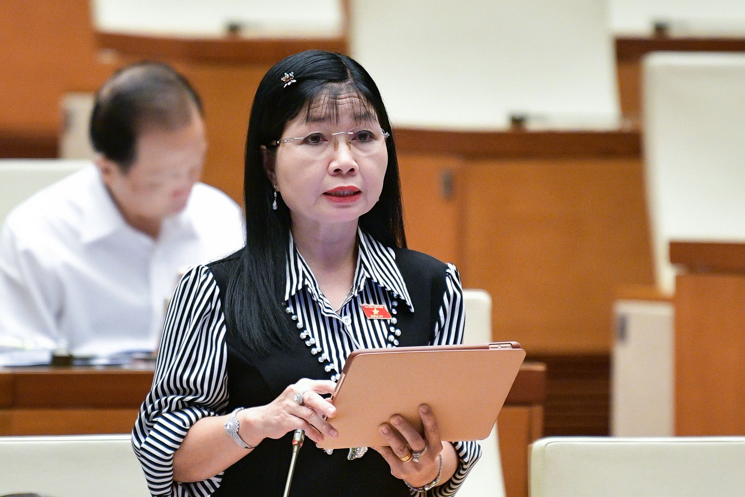 Đại biểu Trần Thị Thanh Hương Đại biểu Trần Thị Thanh Hương