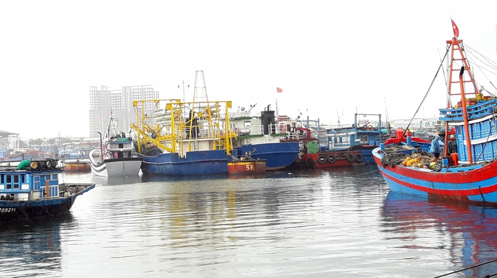 Đà Nẵng khẩn trương tập trung thực hiện các giải pháp cấp bách chống khai thác IUU