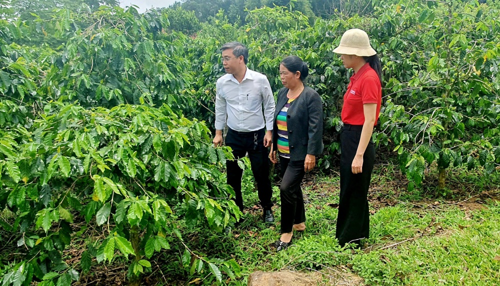 Ngành ngân hàng Kon Tum tích cực hỗ trợ người dân, doanh nghiệp tháo gỡ khó khăn Ngành ngân hàng Kon Tum tích cực hỗ trợ người dân, doanh nghiệp tháo gỡ khó khăn