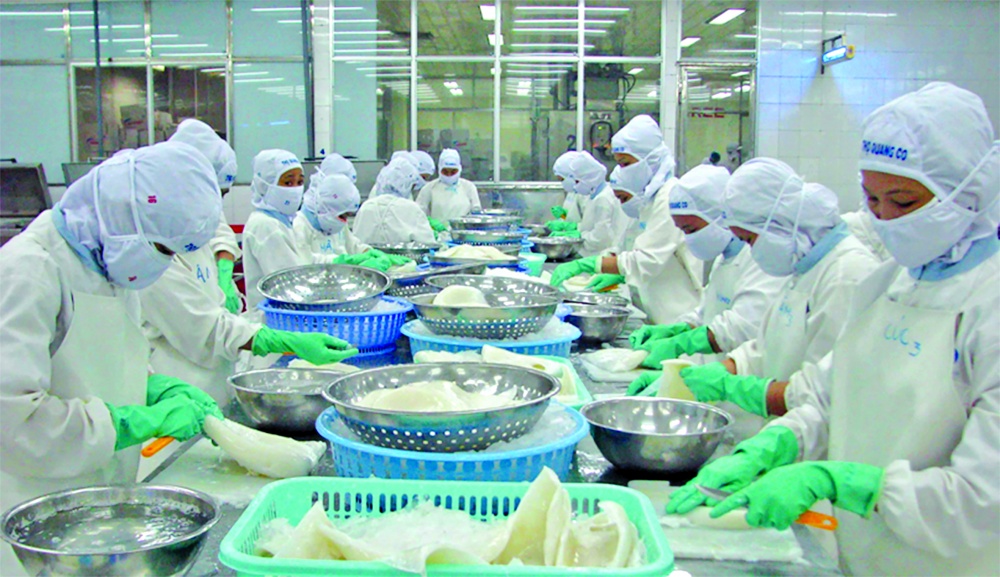 Thủy sản một trong những mặt hàng chủ lực của Đà Nẵng xuất khẩu sang Nhật Bản Thủy sản một trong những mặt hàng chủ lực của Đà Nẵng xuất khẩu sang Nhật Bản