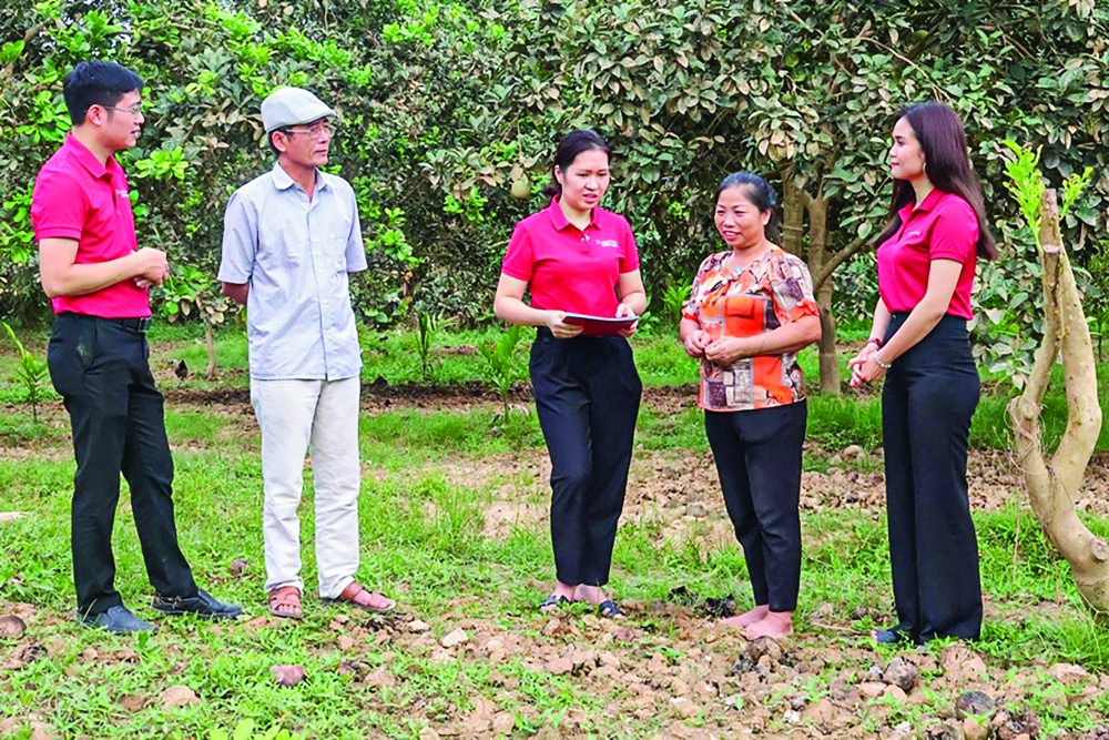 Cán bộ Agribank thăm hỏi và chia sẻ với gia đình bà Đặng Thị Phương tại huyện Yên Sơn, tỉnh Tuyên Quang bị hư hại hàng trăm cây ăn quả do ngập nước lũ