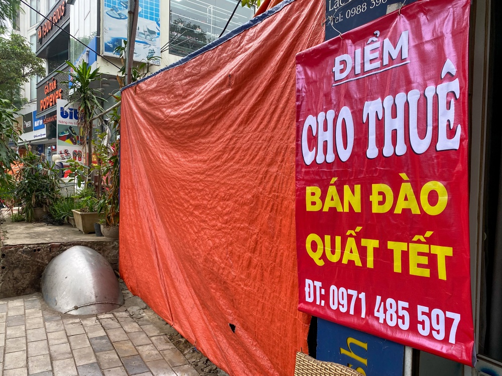 Một điểm cho thuê bày bán đào trên đường Lạc Long Quân