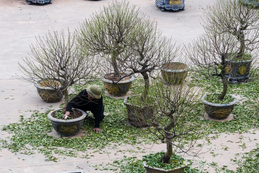 Những công đoạn cuối cùng để chuẩn bị bày bán