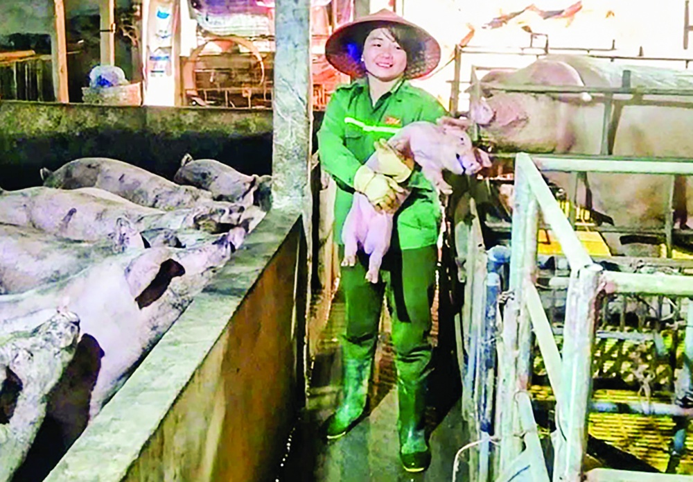 Mô hình chăn nuôi lợn nái, lợn thịt của hộ gia đình chị Nguyễn Thị Thu Hà, ở thôn 8, xã Khai Sơn Mô hình chăn nuôi lợn nái, lợn thịt của hộ gia đình chị Nguyễn Thị Thu Hà, ở thôn 8, xã Khai Sơn