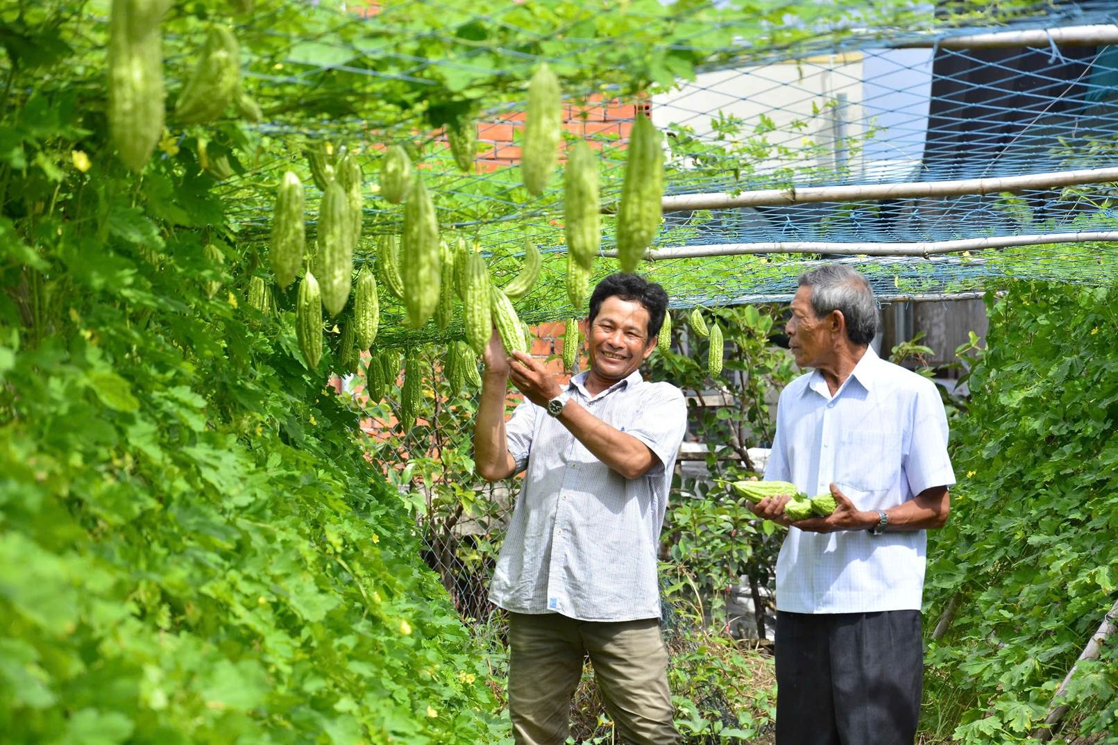 Người dân Kiên Giang được vay vốn, tạo việc làm sau khi dịch COVID-19 được kiểm soát trở lại Người dân Kiên Giang được vay vốn, tạo việc làm sau khi dịch COVID-19 được kiểm soát trở lại