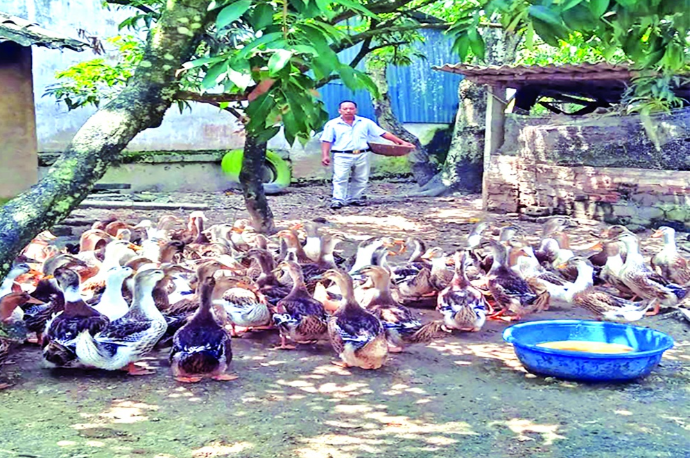 Chính sách tín dụng: Điểm tựa vững chắc giúp nông dân Điện Biên phát triển kinh tế Chính sách tín dụng: Điểm tựa vững chắc giúp nông dân Điện Biên phát triển kinh tế