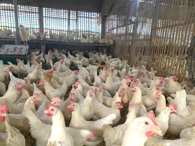 Chuyện về những chàng trai mặc áo màu… hường (kỳ 3)