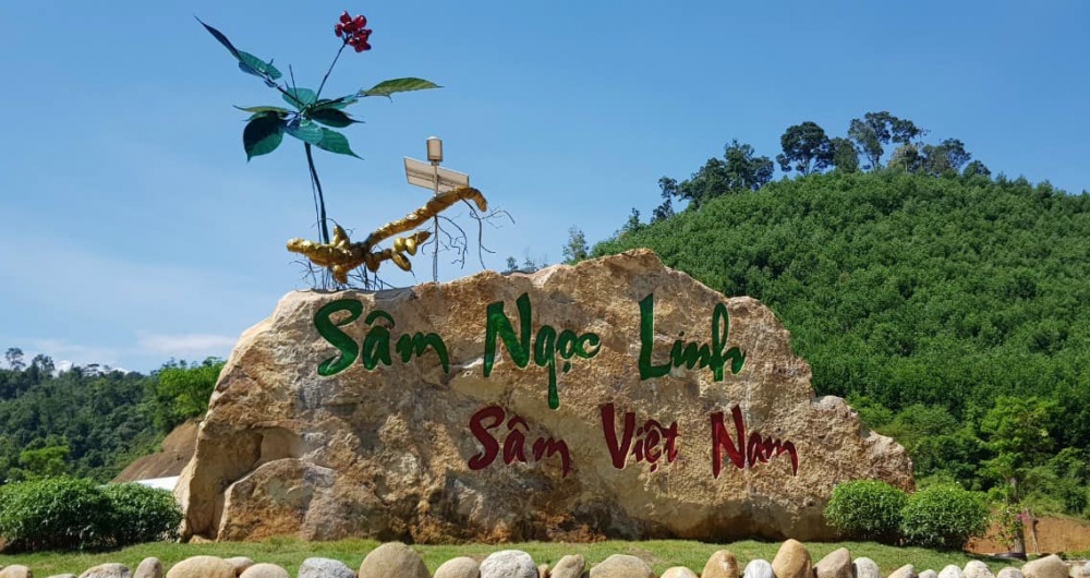 sản phẩm sâm Ngọc Linh, không chỉ mang lại giá trị kinh tế mà còn là biểu tượng văn hóa, niềm tự hào của Nam Trà My.