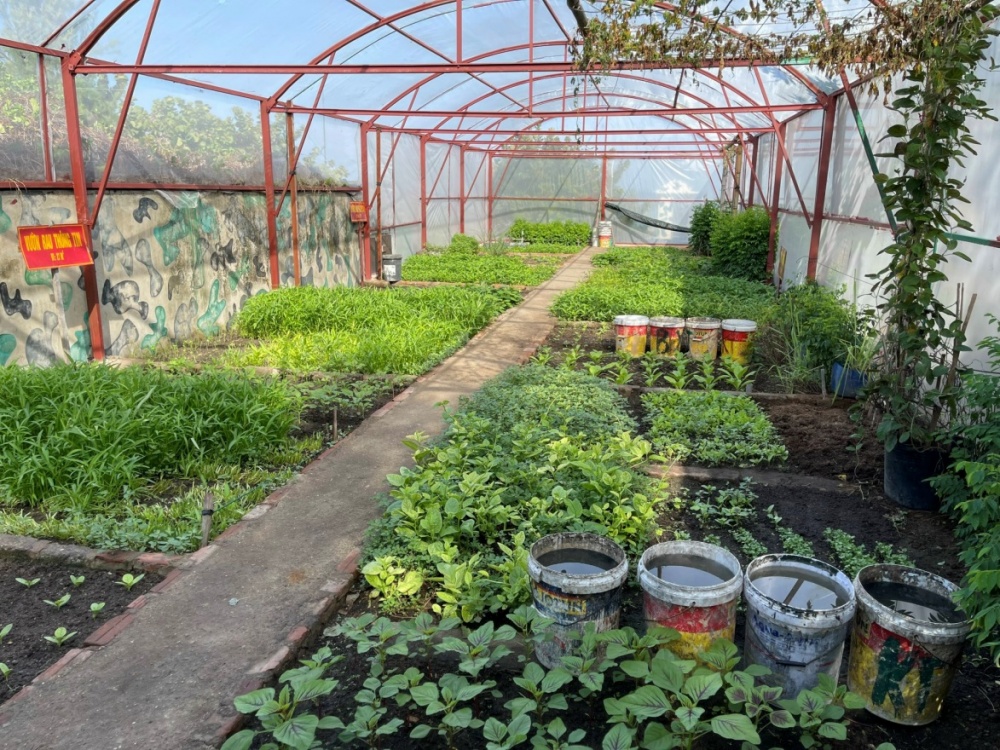 Những luống rau tự trồng của các chiến sĩ ở các đảo