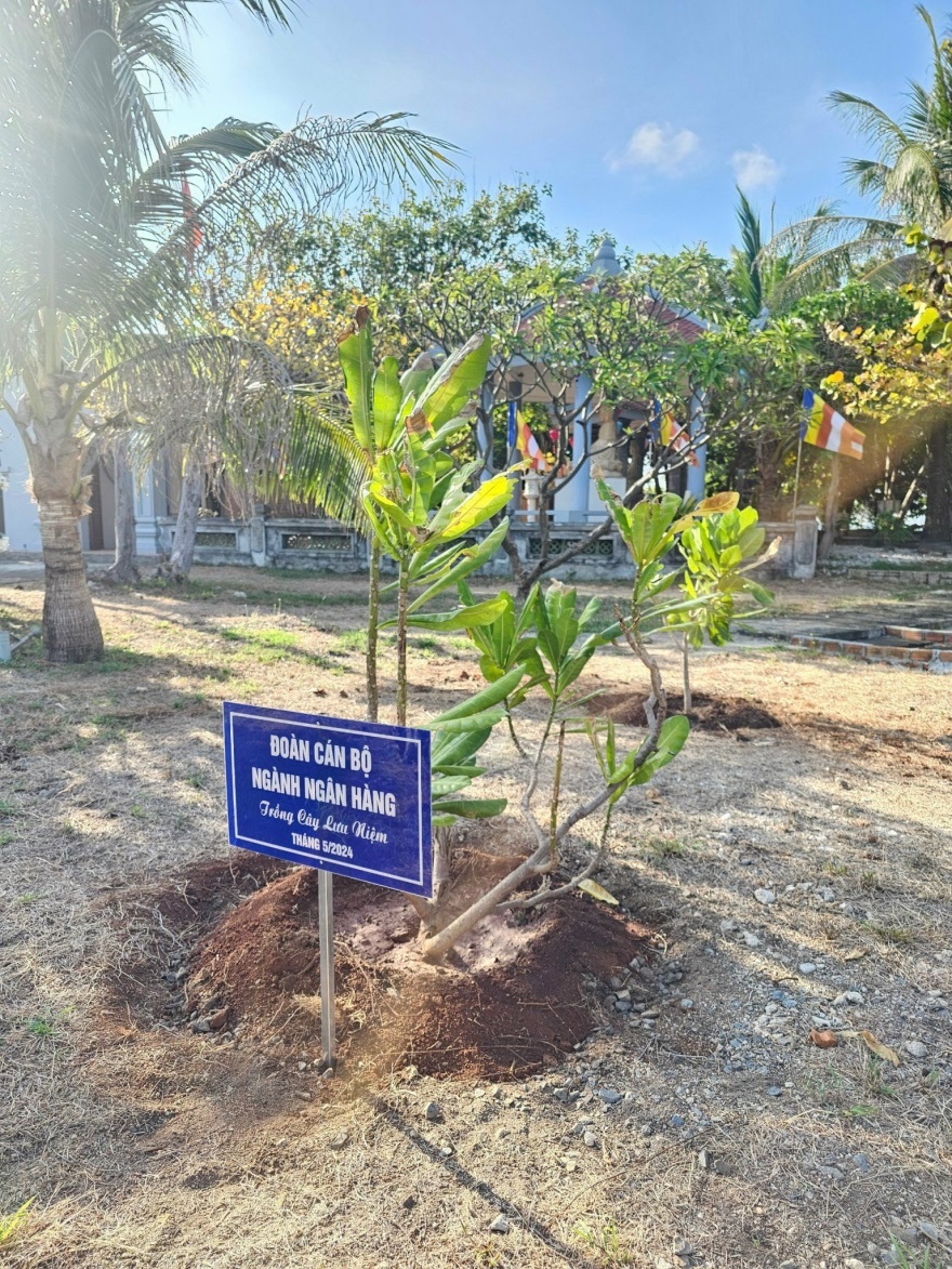 Đoàn công tác ngành Ngân hàng trồng cây lưu niệm tại Đảo Trường Sa