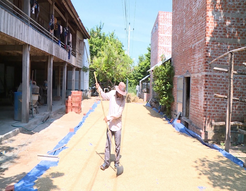 Gia đình ông Kpă Krik là hộ khá của Bôn Jư Ama Nai, xã Ia Rtô, thị xã Ayun Pa Gia đình ông Kpă Krik là hộ khá của Bôn Jư Ama Nai, xã Ia Rtô, thị xã Ayun Pa