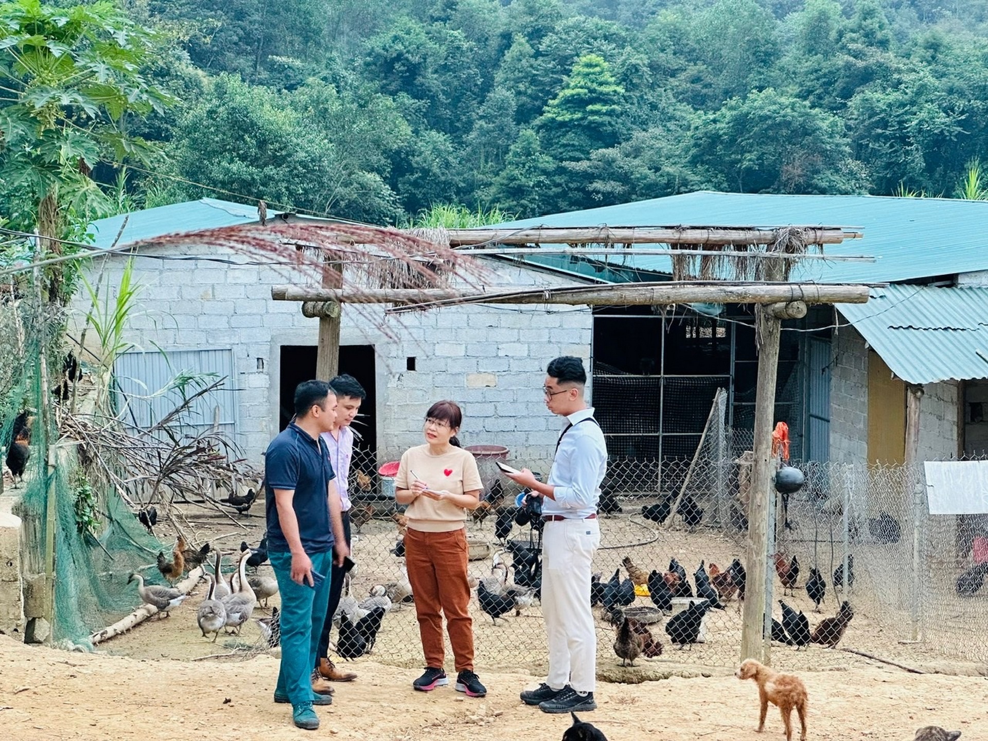 Tín dụng chính sách – chủ trương nhân văn đánh thức sức sống miền cao nguyên đá Tín dụng chính sách – chủ trương nhân văn đánh thức sức sống miền cao nguyên đá (Bài 1)