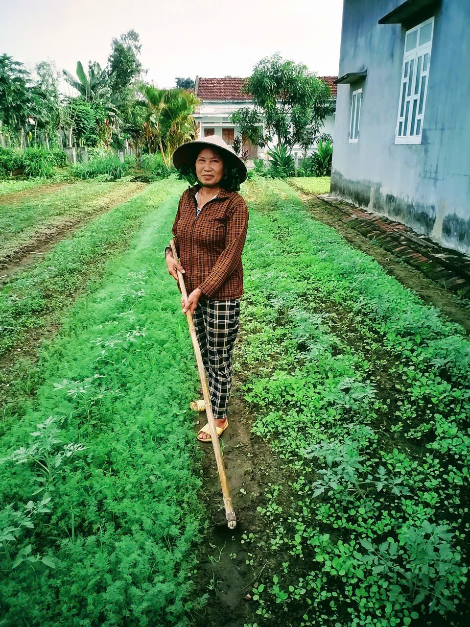 Bài dự thi về công tác phong trào xóa đói giảm nghèo Về công tác phong trào xóa đói giảm nghèo