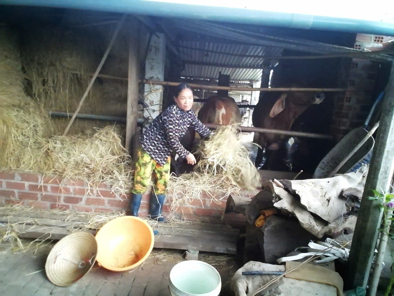 Bài dự thi về công tác phong trào xóa đói giảm nghèo Về công tác phong trào xóa đói giảm nghèo