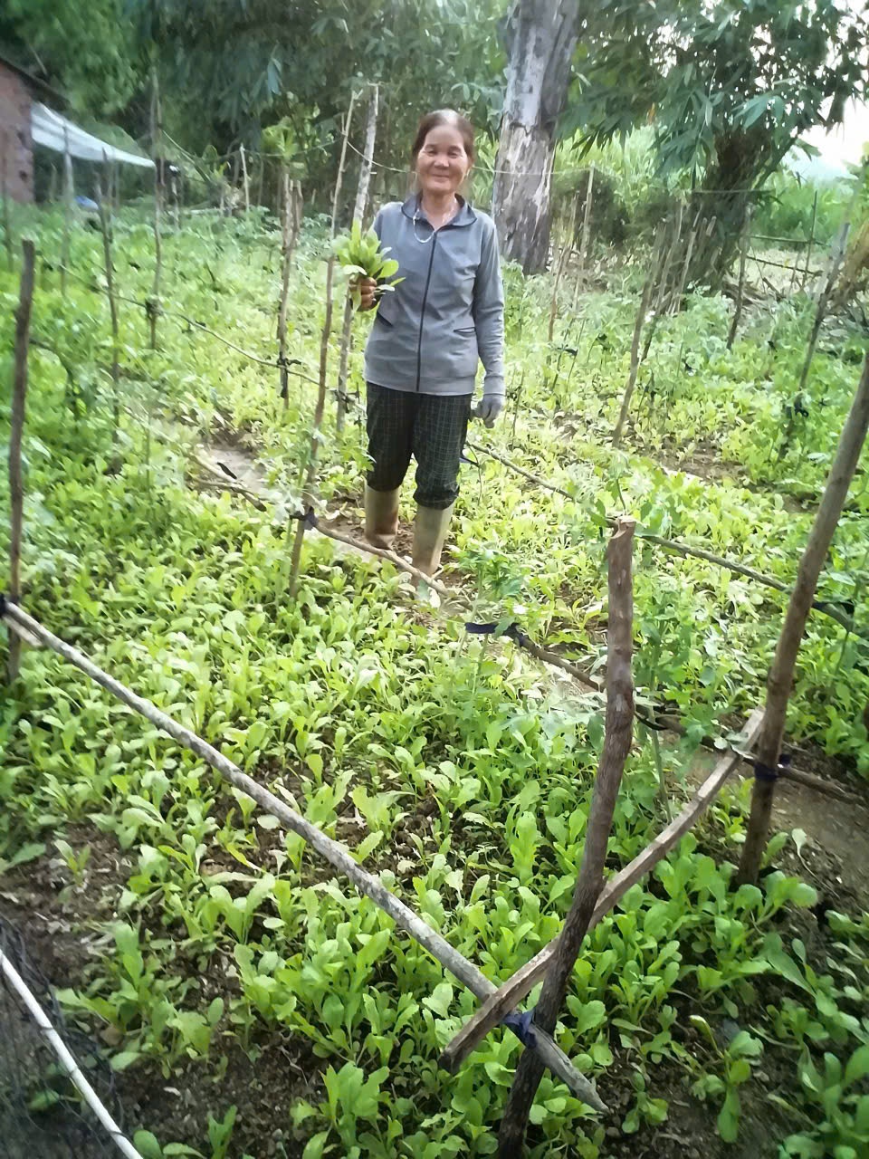 Bài dự thi về công tác phong trào xóa đói giảm nghèo Về công tác phong trào xóa đói giảm nghèo