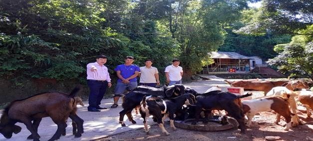 Cán bộ NHCSXH, TCH nhận ủy thác, Tổ TK&VV thăm mô hình chăn nuôi tại gia đình Ông Vì Văn Ườm Cán bộ NHCSXH, TCH nhận ủy thác, Tổ TK&VV thăm mô hình chăn nuôi tại gia đình Ông Vì Văn Ườm