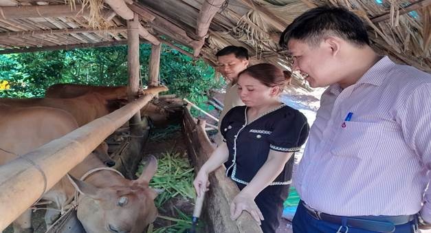 Cán bộ NHCSXH, TCH nhận ủy thác, Tổ TK&VV thăm mô hình chăn nuôi tại gia đình Bà Lường Thị Hạnh Cán bộ NHCSXH, TCH nhận ủy thác, Tổ TK&VV thăm mô hình chăn nuôi tại gia đình Bà Lường Thị Hạnh