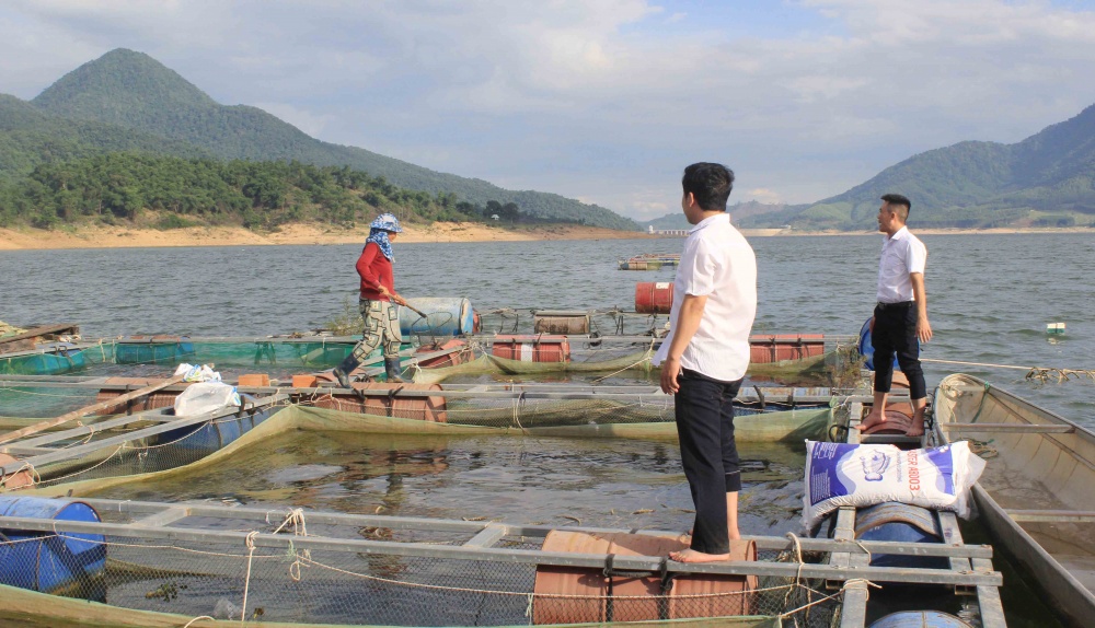 Mô hình vay vốn ngân hàng đầu tư nuôi cá lồng ở huyện Vĩnh Thạnh, Bình Định.