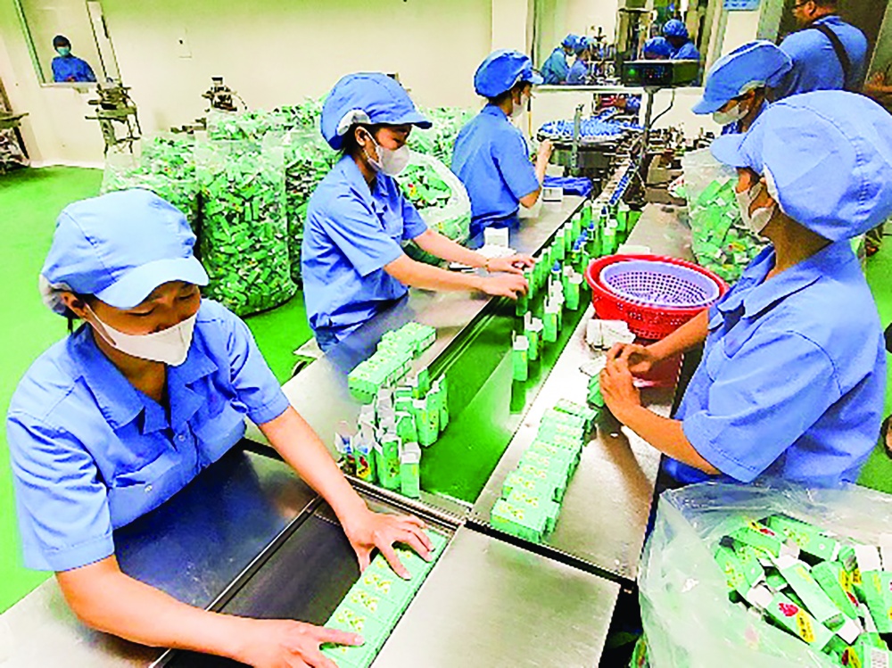 TP. Hồ Chí Minh đã đề ra nhiều giải pháp giúp doanh nghiệp phát triển TP. Hồ Chí Minh đã đề ra nhiều giải pháp giúp doanh nghiệp phát triển