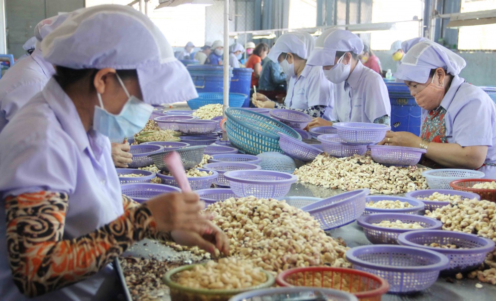 Ninh Thuận cam kết tiếp tục đồng hành cùng doanh nghiệp, xem sự thành công, thịnh vượng của doanh nghiệp là thành công của tỉnh.