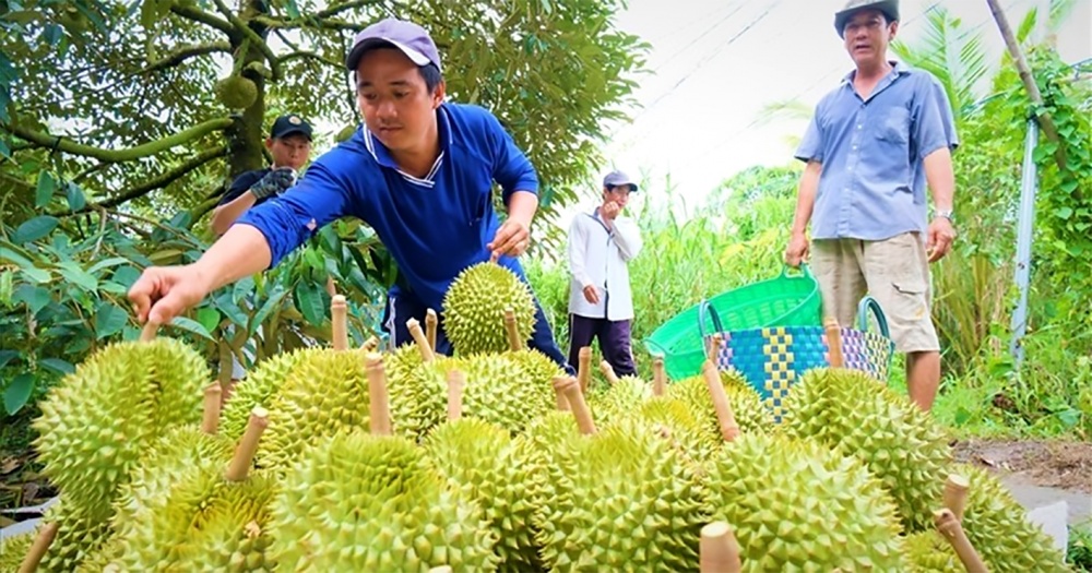 Xuất khẩu xanh: Hành trình tất yếu Xuất khẩu xanh: Hành trình tất yếu