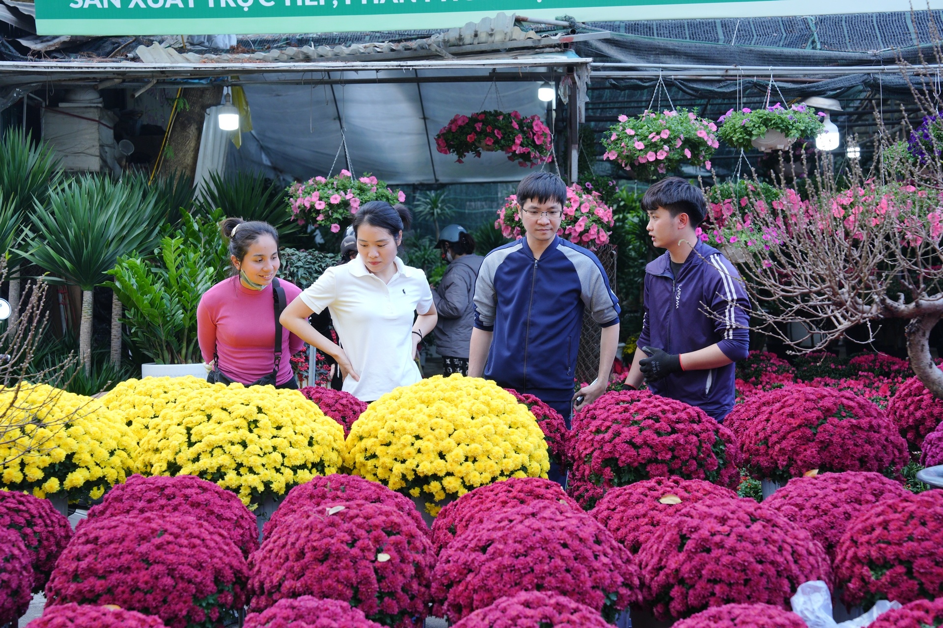 Chợ hoa xuân nhộn nhịp những ngày cận Tết