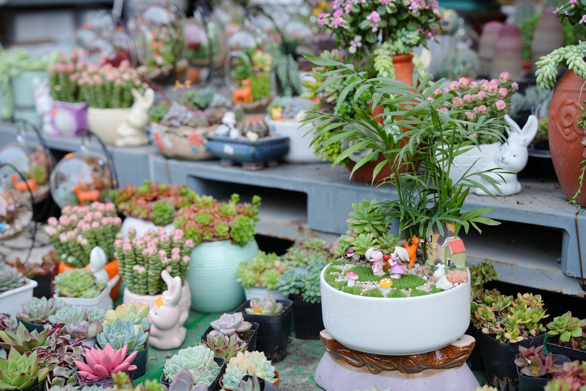 Chợ hoa xuân nhộn nhịp những ngày cận Tết Chợ hoa xuân nhộn nhịp những ngày cận Tết