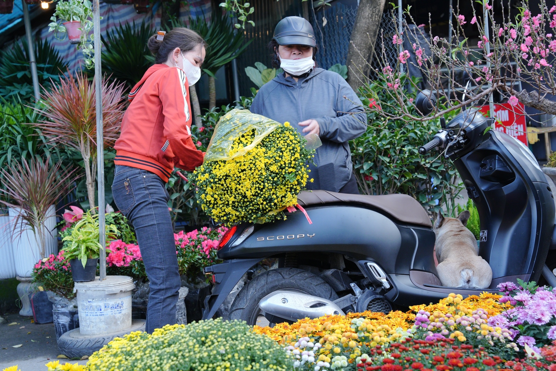 Chợ hoa xuân nhộn nhịp những ngày cận Tết Chợ hoa xuân nhộn nhịp những ngày cận Tết