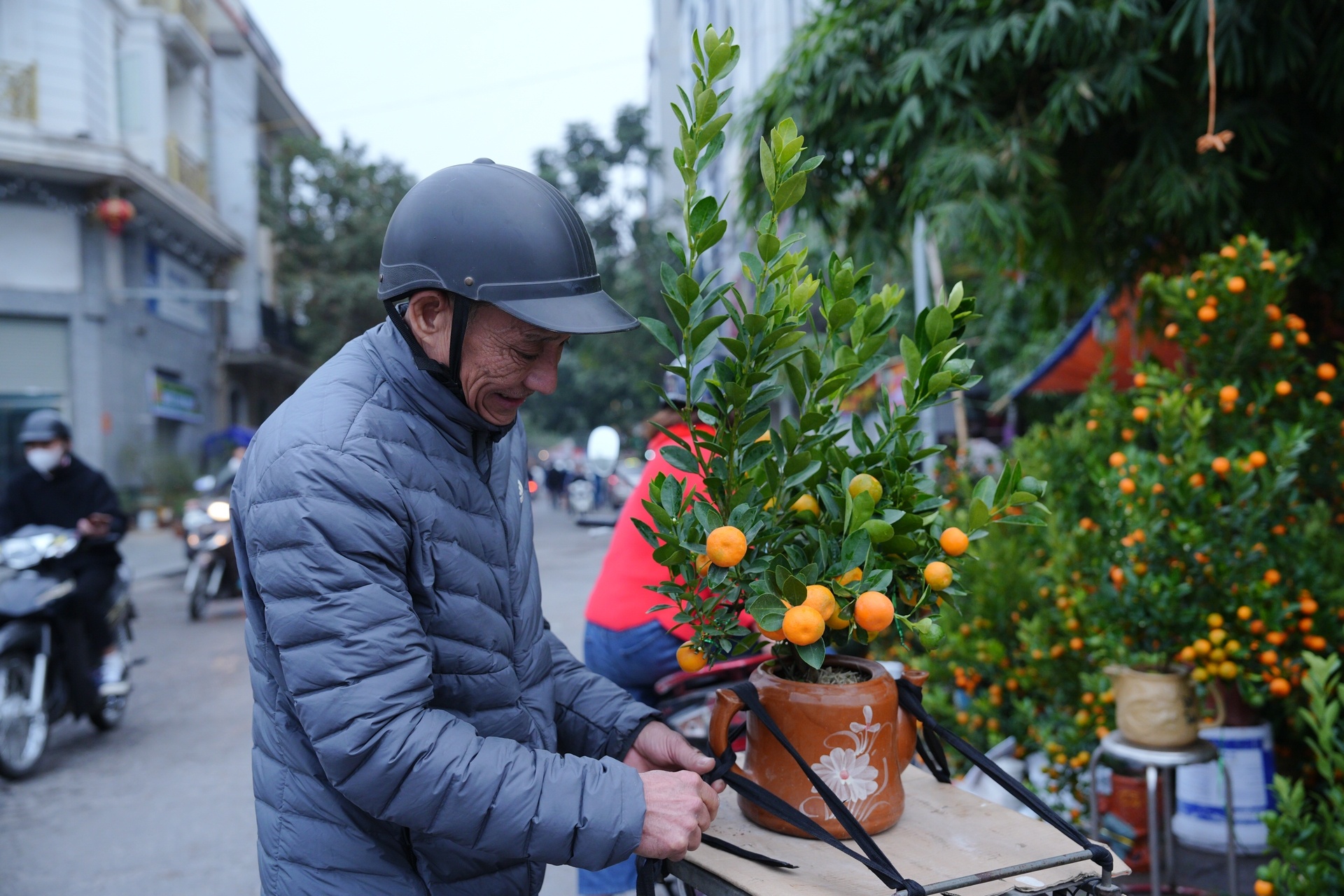 Chợ hoa xuân nhộn nhịp những ngày cận Tết Chợ hoa xuân nhộn nhịp những ngày cận Tết