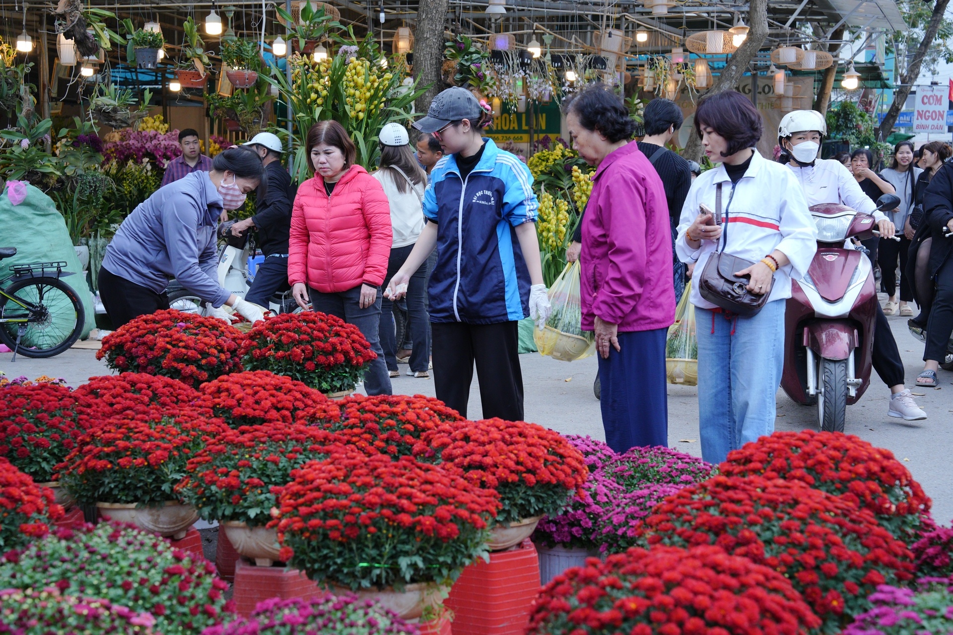 Chợ hoa xuân nhộn nhịp những ngày cận Tết Chợ hoa xuân nhộn nhịp những ngày cận Tết