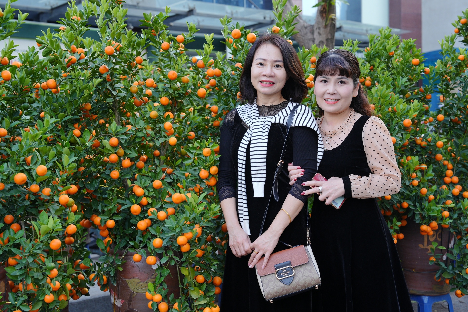 Chợ hoa xuân nhộn nhịp những ngày cận Tết