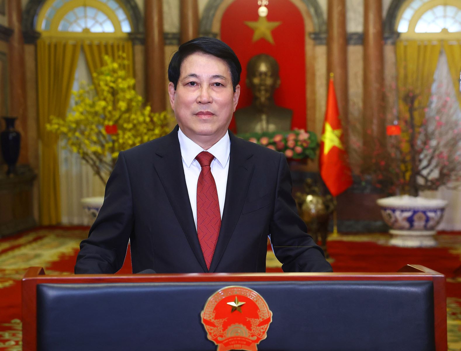 Thông điệp chúc Tết Ất Tỵ 2025 của Chủ tịch nước Lương Cường Chú thích ảnh