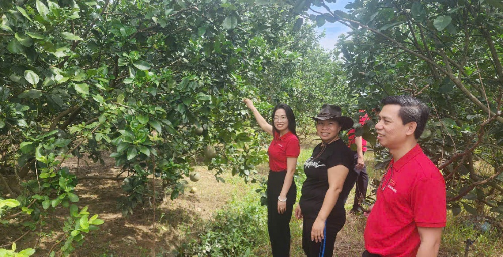 Vốn ngân hàng đã và đang góp phần giải quyết việc làm, phát triển các sản phẩm OCOP ở Quảng Nam.