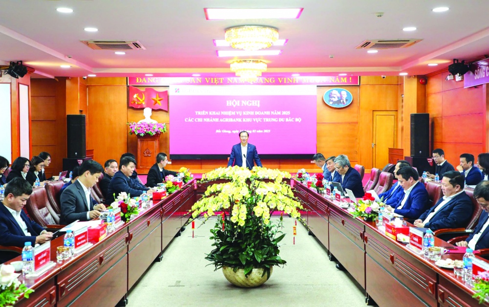 Phó Tổng Giám đốc Đoàn Ngọc Lưu chủ trì Hội nghị triển khai nhiệm vụ kinh doanh năm 2025 các chi nhánh Agribank khu vực Trung du Bắc bộ Phó Tổng Giám đốc Đoàn Ngọc Lưu chủ trì Hội nghị triển khai nhiệm vụ kinh doanh năm 2025 các chi nhánh Agribank khu vực Trung du Bắc bộ