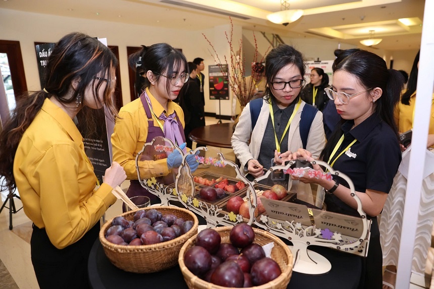 Khách mời háo hức nếm thử nhiều loại mận Úc, tận hưởng hương vị thơm, ngọt và căng mọng. Khách mời háo hức nếm thử nhiều loại mận Úc, tận hưởng hương vị thơm, ngọt và căng mọng.