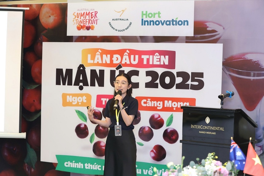 Người đại diện phát ngôn của Summerfruit Australia tại Việt Nam, giới thiệu về chất lượng và đặc điểm riêng biệt của mận Úc. Người đại diện phát ngôn của Summerfruit Australia tại Việt Nam, giới thiệu về chất lượng và đặc điểm riêng biệt của mận Úc.