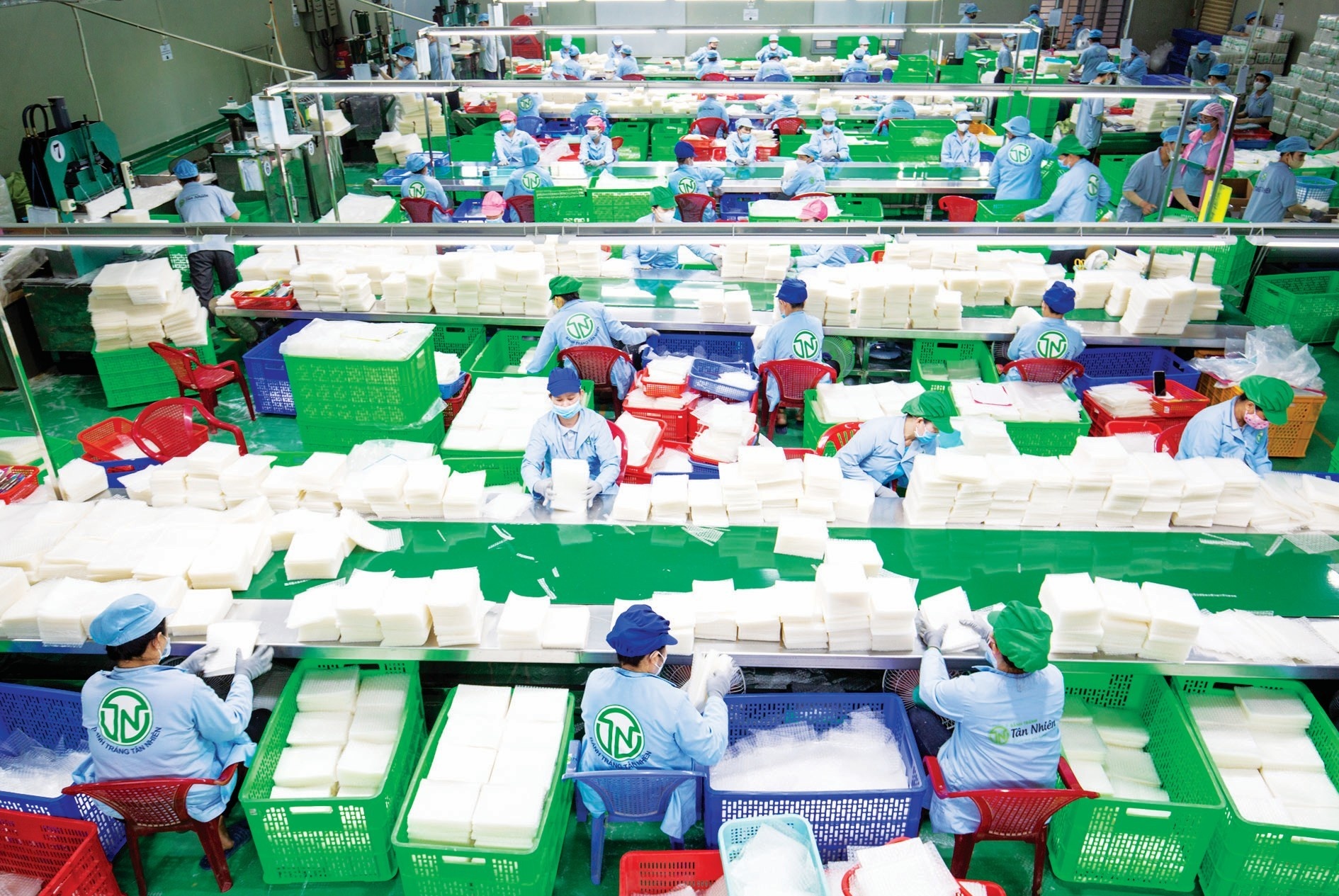 Nhiều doanh nghiệp ở Tây Ninh đã cải tiến chất lượng sản phẩm đạt OCOP 5 sao cấp quốc gia