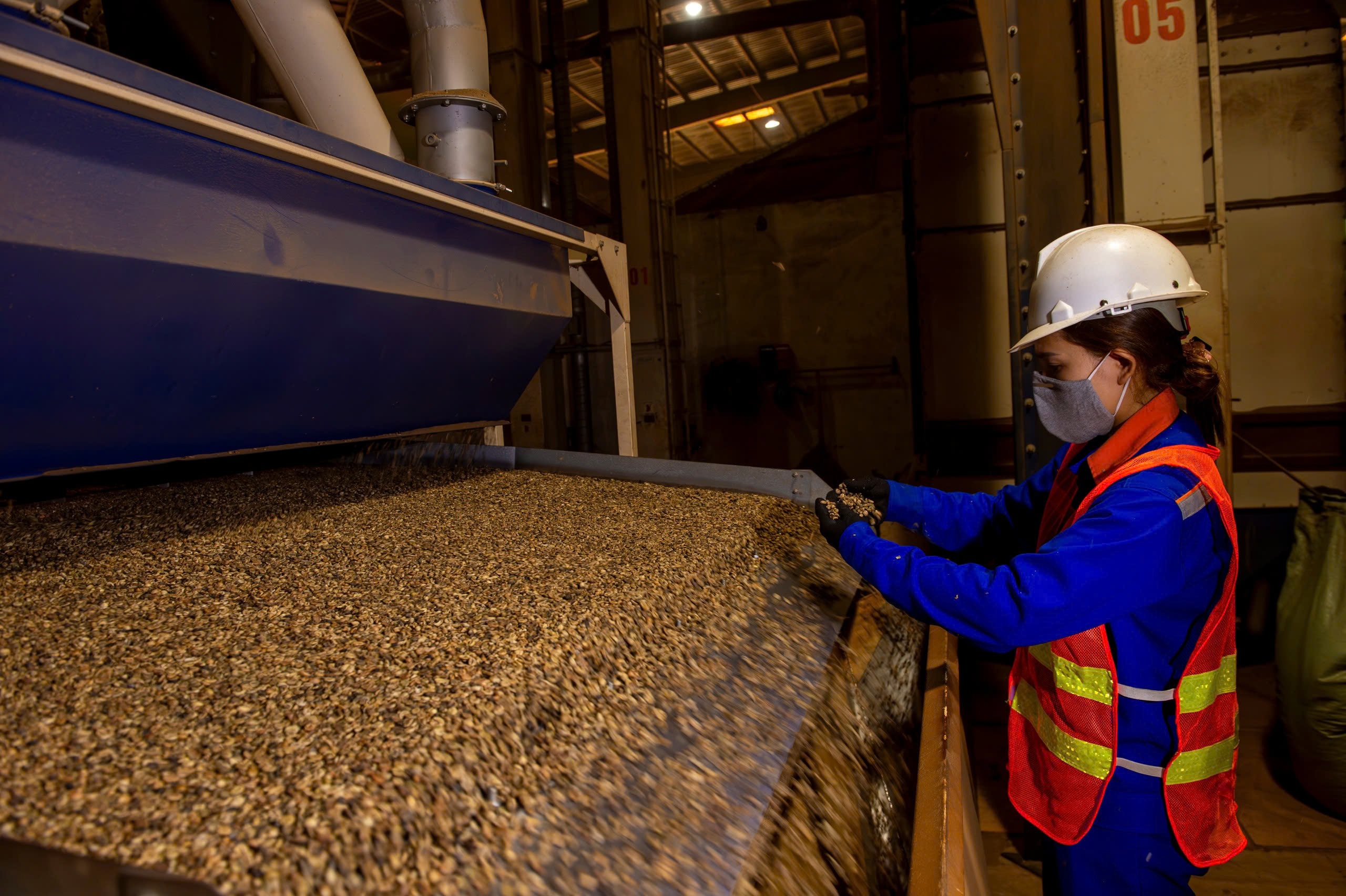 Quy trình sản xuất cà phê tại nhà máy trên địa bàn tỉnh DakLak