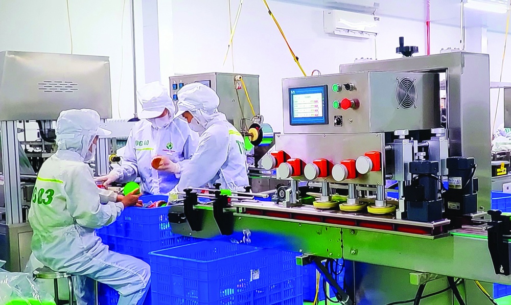 Việt Nam cần tận dụng và kéo dài thời gian dân số vàng Việt Nam cần tận dụng và kéo dài thời gian dân số vàng