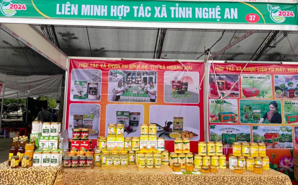 tăng cường vốn cho các mô hình hợp tác xã kiểu mới làm ăn hiệu quả, hợp tác xã tham gia phát triển các sản phẩm có thế mạnh,