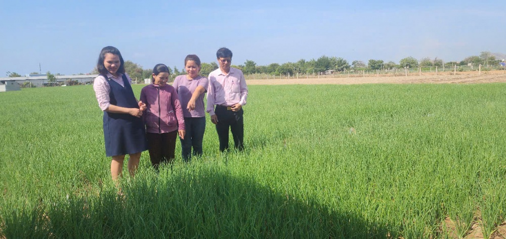 hộ nghèo, hộ cận nghèo và các đối tượng chính sách khác có vốn đầu tư sản xuất, kinh doanh, góp phần bảo đảm an sinh xã hội. 