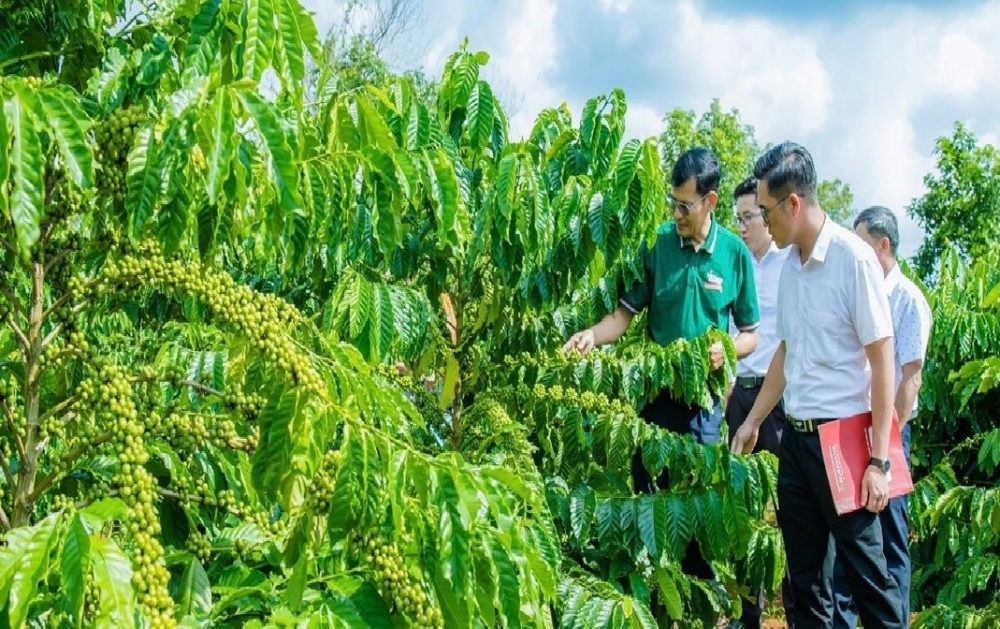 Agribank Đắk Lắk - Nhà tài trợ bạc lễ hội Cà phê Buôn Ma Thuột lần thứ 9