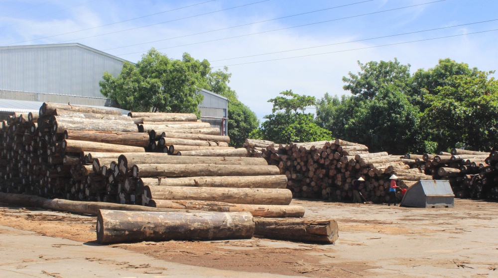Việc phát triển vùng nguyên liệu bền vững, khuyến khích trồng rừng gỗ lớn có chứng nhận FSC nhằm giảm sự phụ thuộc vào nguyên liệu nhập khẩu được xem là giải pháp dài hạn.